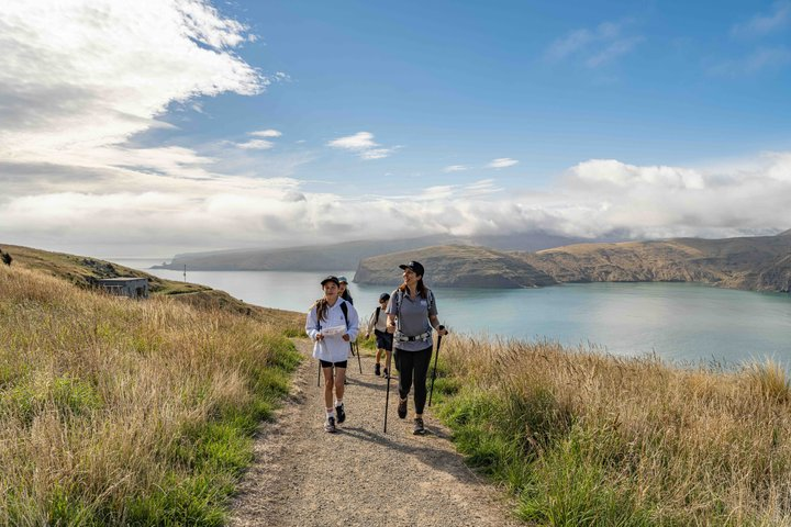 Half-Day Godley Head Coastal Hike from Christchurch - Photo 1 of 19